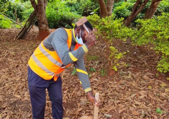 Bitumage de la route Mampang-Angossas : consolidation des travaux préparatoires