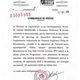Messamena : l’Institut Fang accueille une plantation pilote