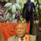 Cameroun/Guichet Producteurs : la campagne de subvention 2025 porte déjà ses fruits