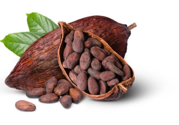 Cameroun : le cacao camerounais se négocie plus du double du prix garanti en Côte d&rsquo;Ivoire